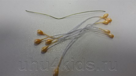 �������� ����� �� ��������� ������ ������